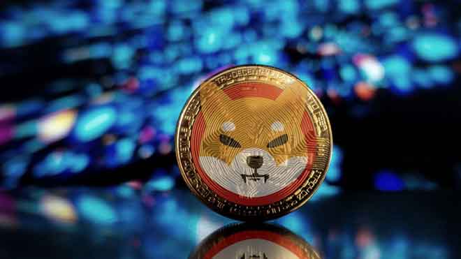 Shiba