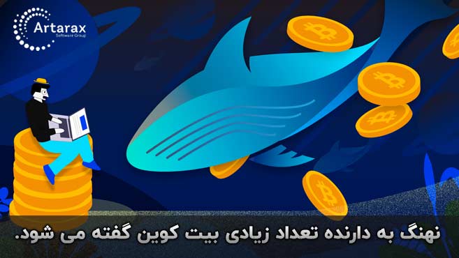 نهنگ بیت کوین 